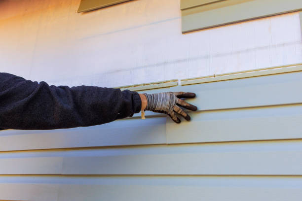 Best Insulated Siding Installation  in Vermillion, SD